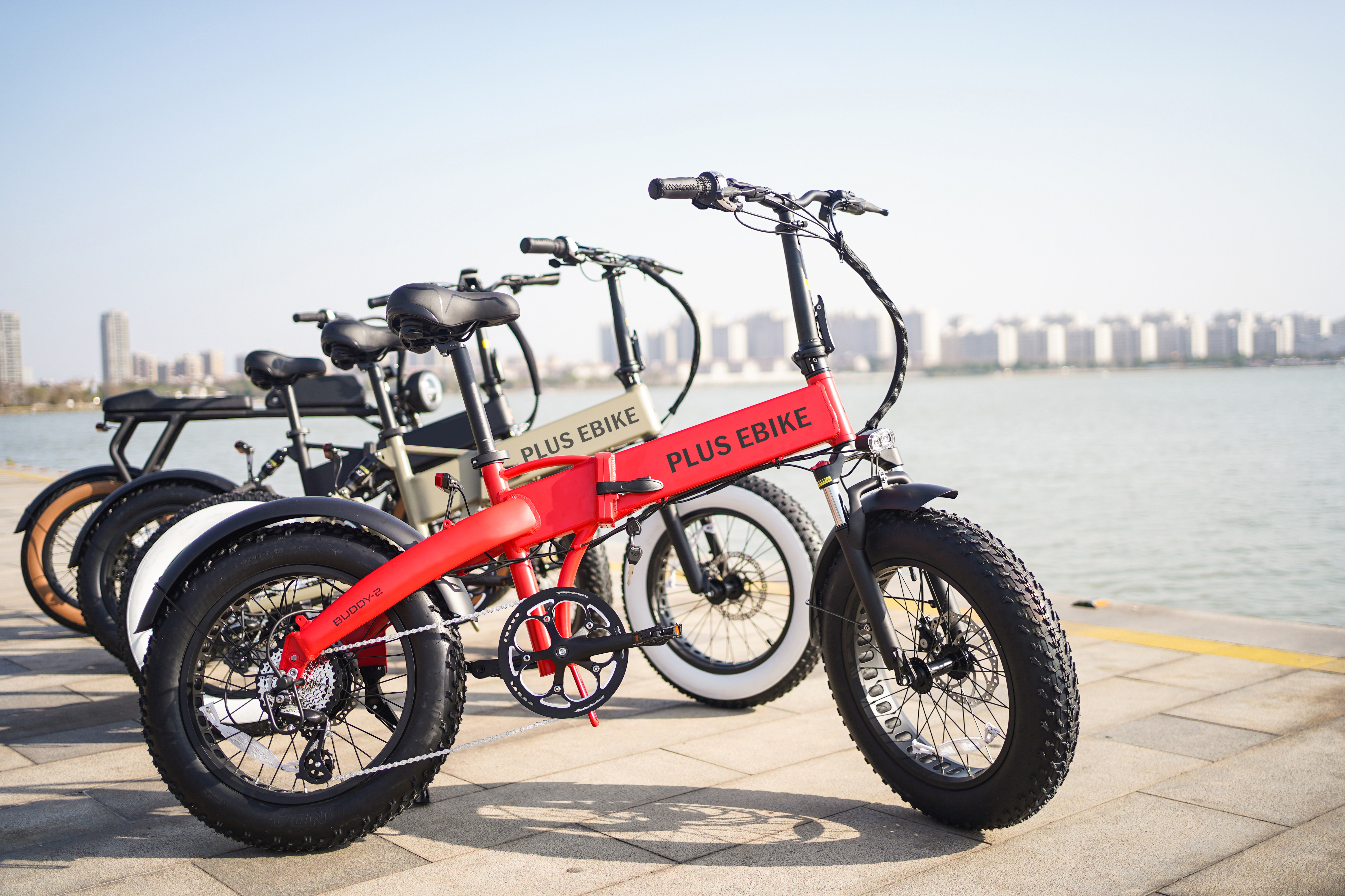 BUDDY-PLUS EBIKE (3)