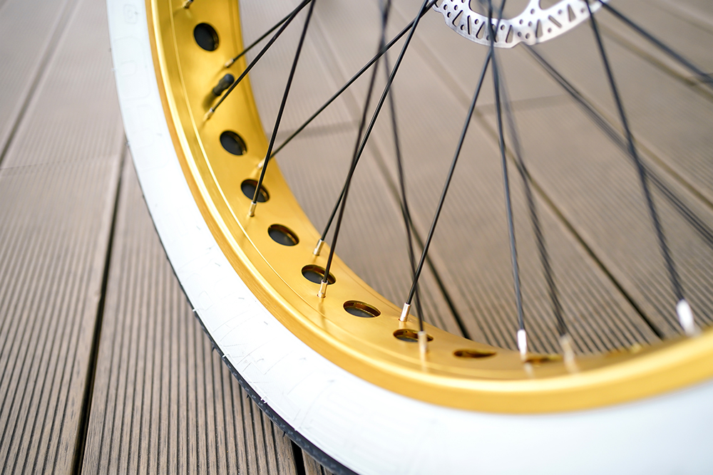 CRUISER MINI -plus ebike (10)