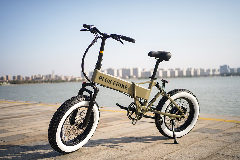 FB2-plus ebike-02(web)