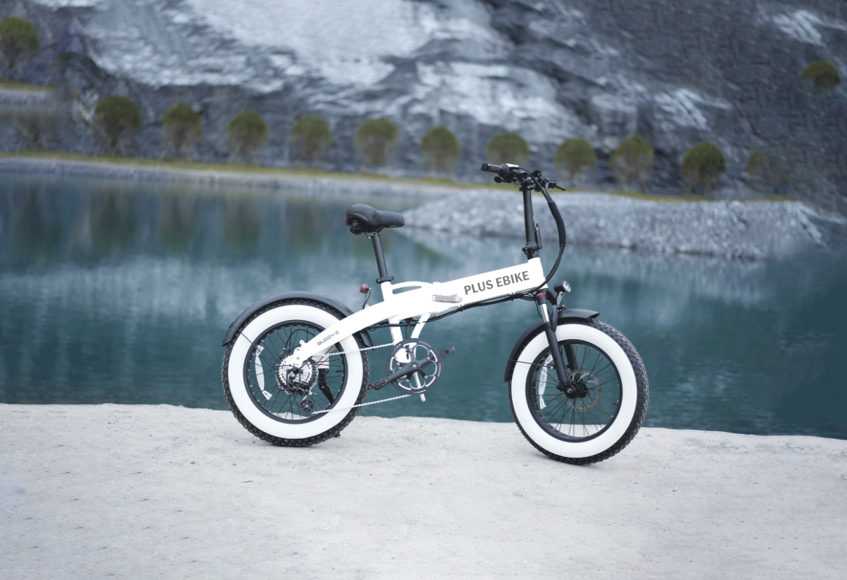 BUDDY-PLUS EBIKE (4)