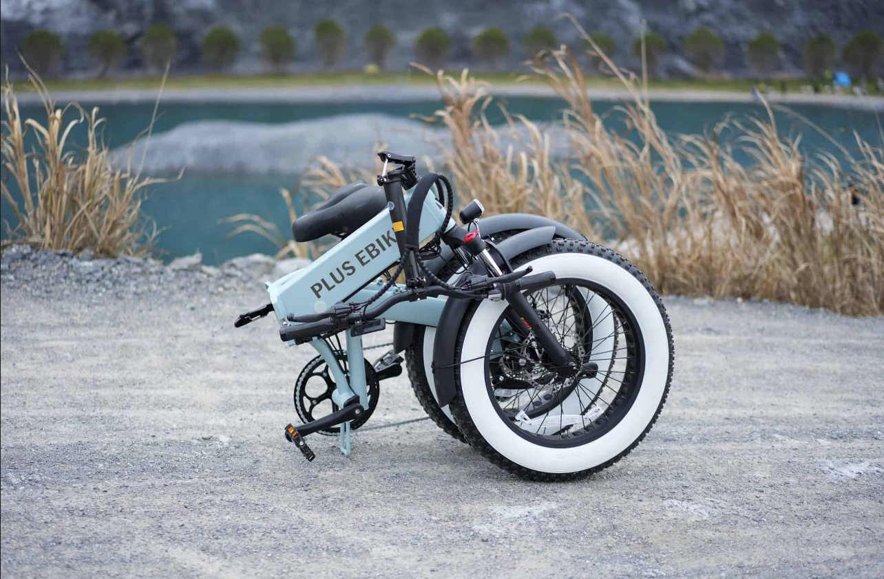 BUDDY-PLUS EBIKE (5)