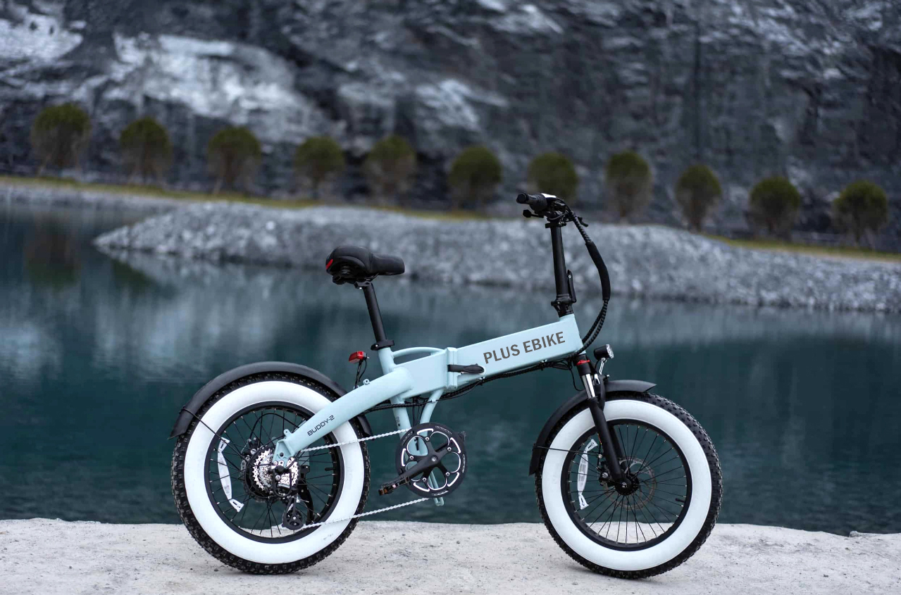 BUDDY-PLUS EBIKE (6)