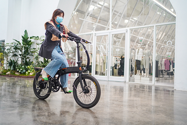 link solution - plus ebike