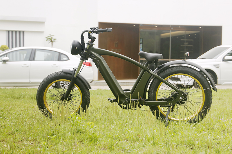 CRUISER MINI -plus ebike (9)