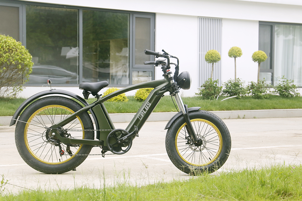 CRUISER MINI -plus ebike (7)