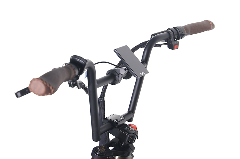 BIG FOOT-plusebike (2)