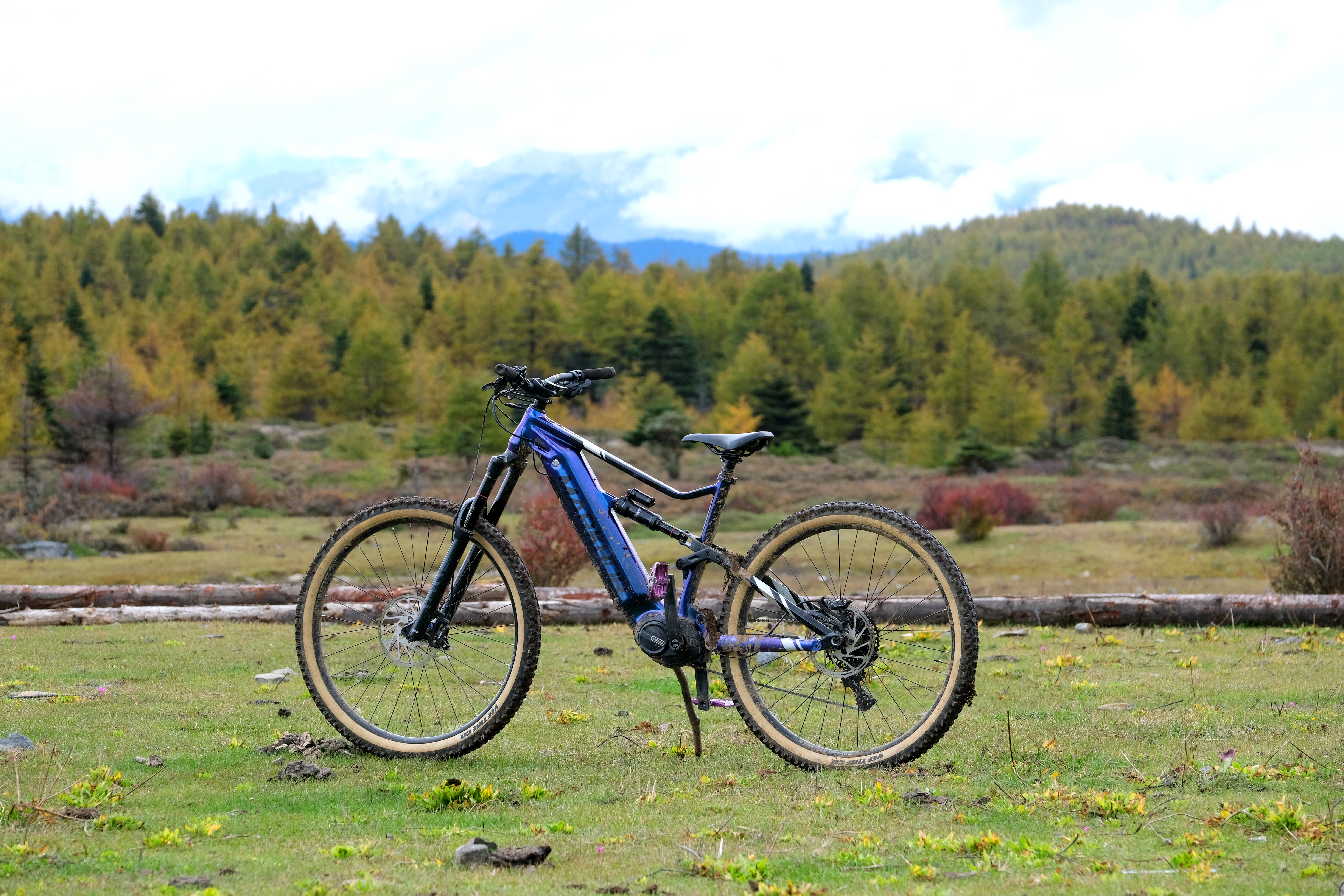 090dc0233f86d80d4456be71e5c19792