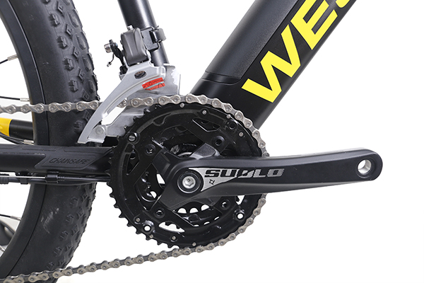 CRANKSET - XTC - PLUS EBIKE