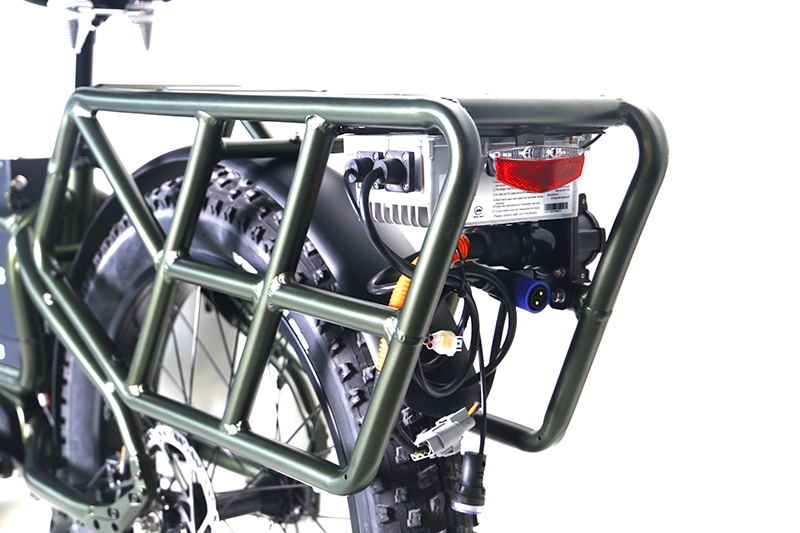 BIG FOOT-plusebike (6)