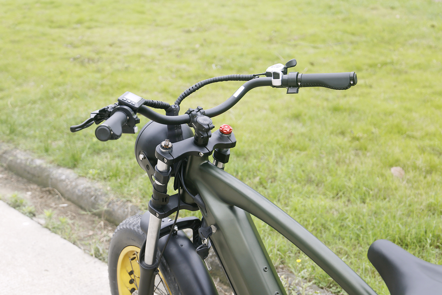 CRUISER MINI -plus ebike (8)