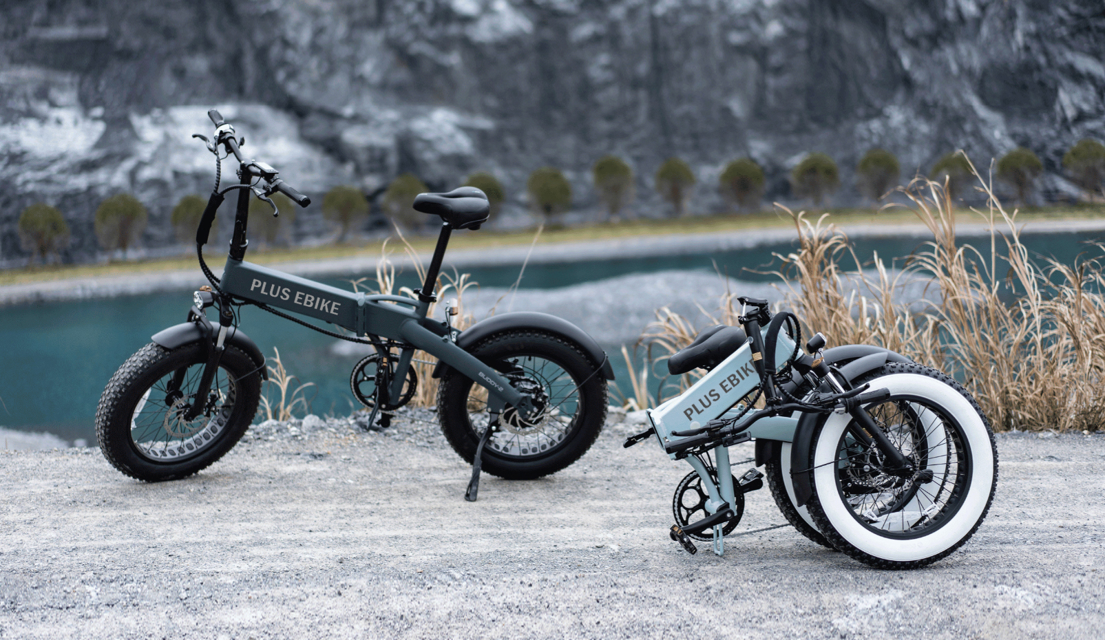 BUDDY-PLUS EBIKE (7)