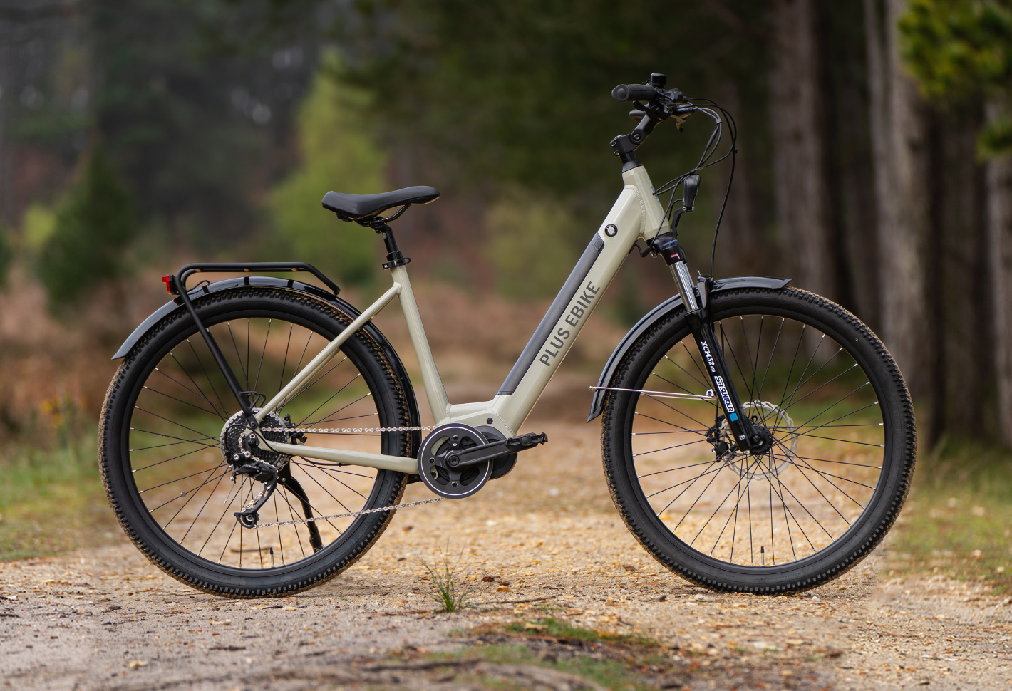 LIV-M-plus ebike (3)