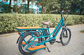 Solution -Whole Bike - Cargo - PLUS EBIKE