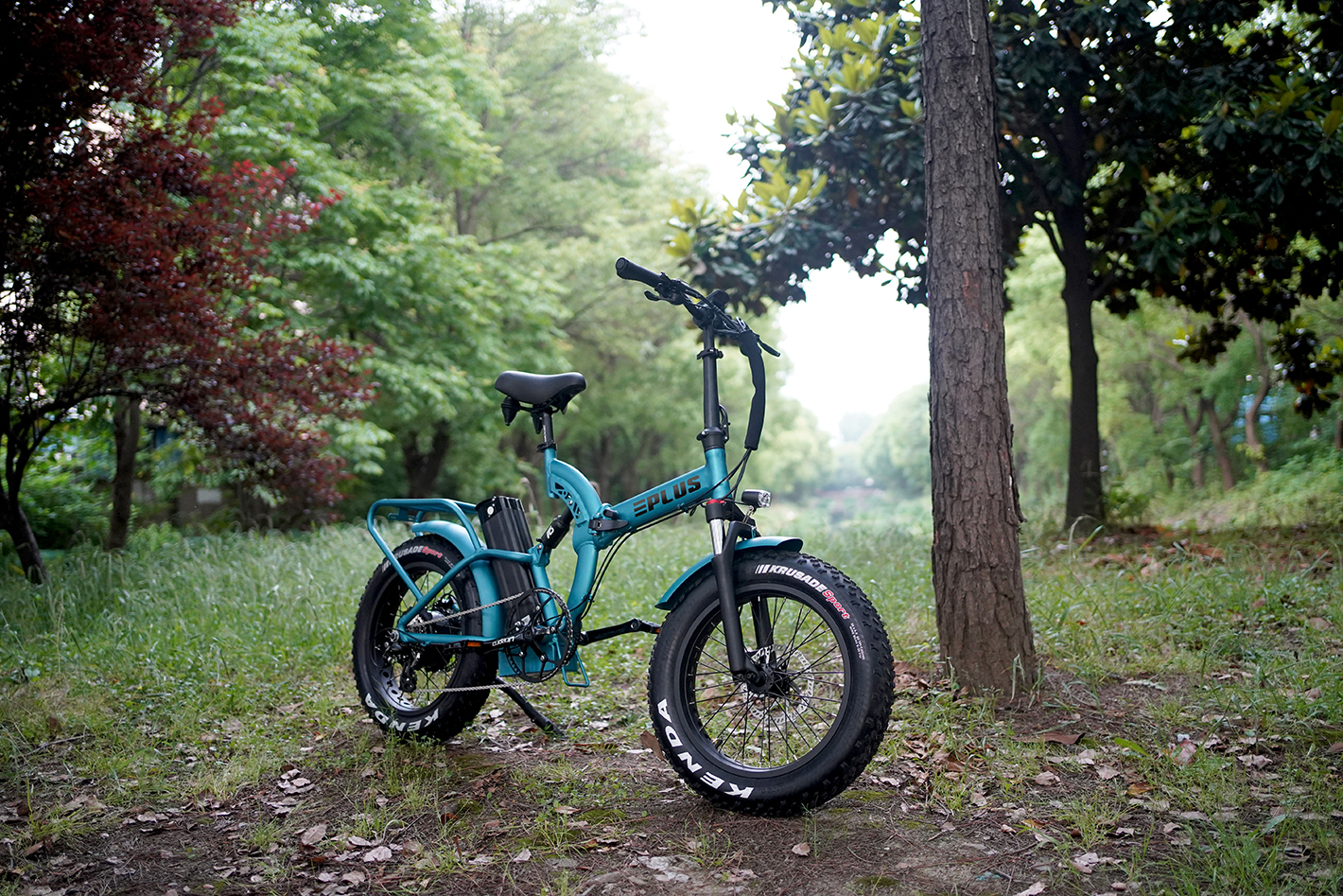 plusarrowDSC00443000000000000