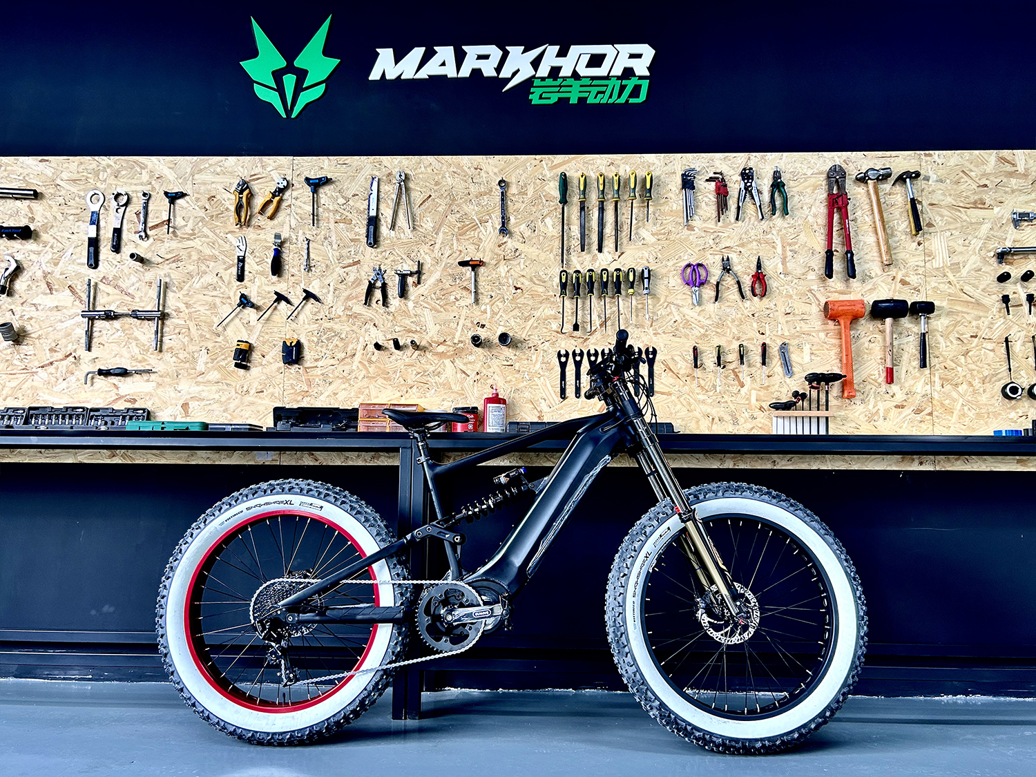 HUA SHAN-F-PLUS EBIKE (4)